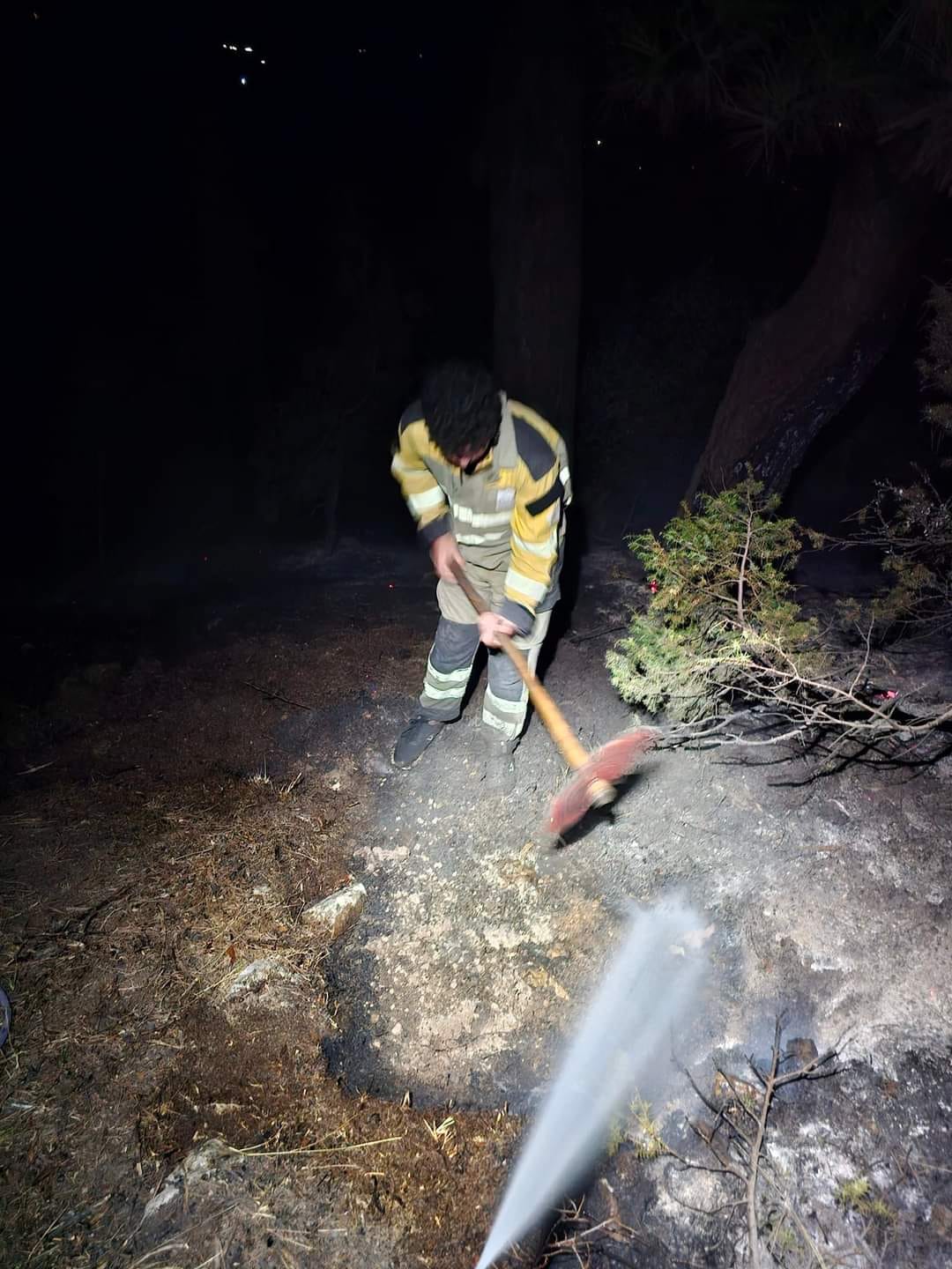 بالصور- اندلاع حريق مفاجئ ليلا بغابة الصنوبر في أعالي فنيدق العكارية